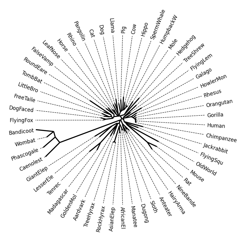 ../../../_images/plot_tree-iplotx_1_0.png