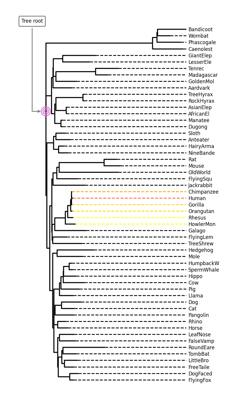 ../../../_images/plot_tree-iplotx_3_0.png